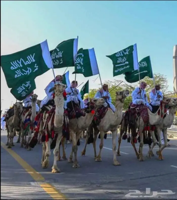 ايجار رحول (جمال) 4