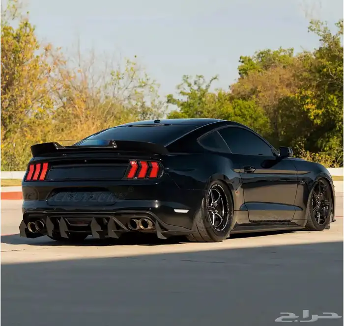 اسطبات خلفية موستنج ستايل 2024 1