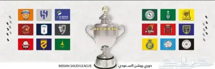متجر محمد المداريه بيع حسابات نت فلكس والرياضه وكوينز فيفا 1
