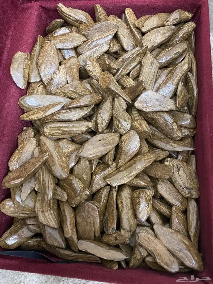 عود مروكي طبيعي محسن فاخر 0