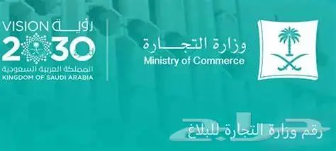 انهاء كافة اجراءات الزكاة والدخل والضريبة في اسرع وقت 0