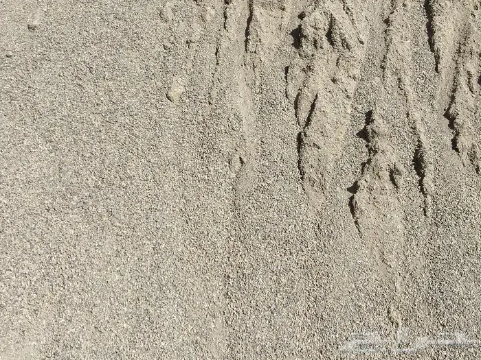 بطحاء دفان ( سوداء 1
