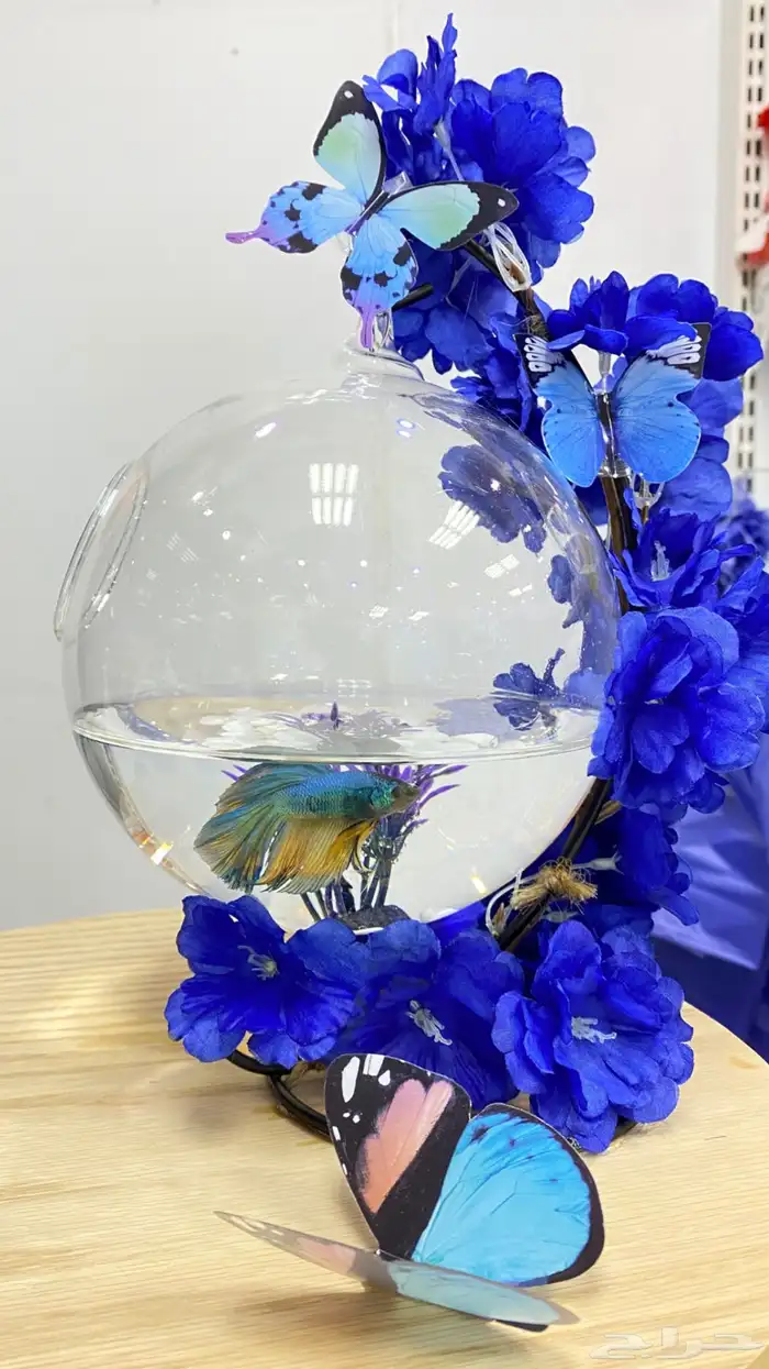 سمك فايتر مع الفازه مع التنسيق 4