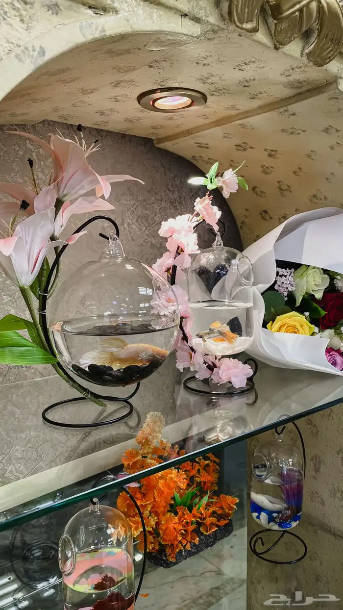 سمك فايتر مع الفازه مع التنسيق 2