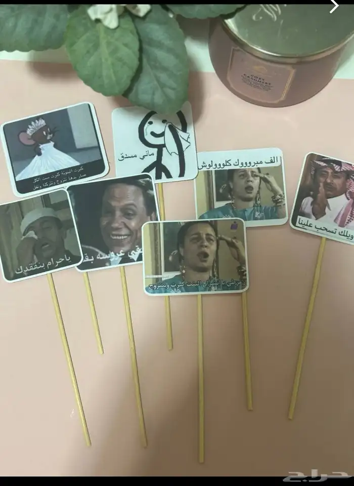 بوكس توديع العزوبيه 1