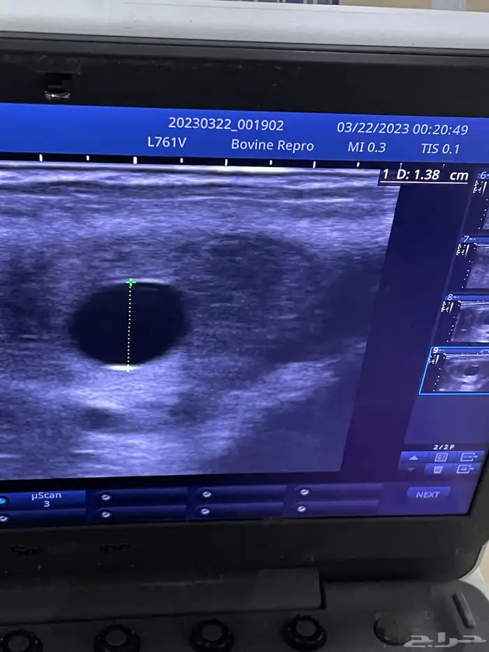 طبيب بيطري سعودي متخصص لفحص السونار ونقل الأجنه 1