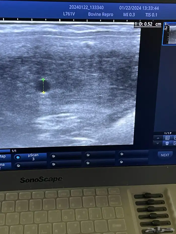 طبيب بيطري سعودي متخصص لفحص السونار ونقل الأجنه 1