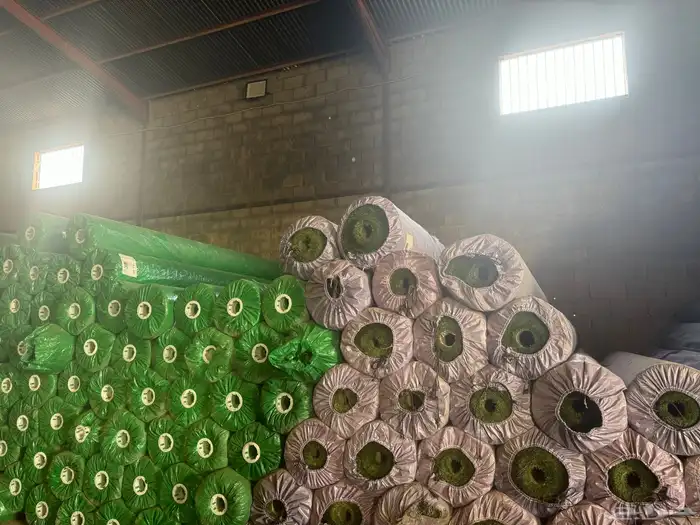 مستودعات جملة لعشب ملاعب والحدائق 7