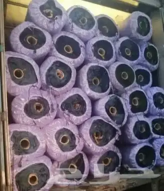 مستودعات جملة لعشب ملاعب والحدائق 1