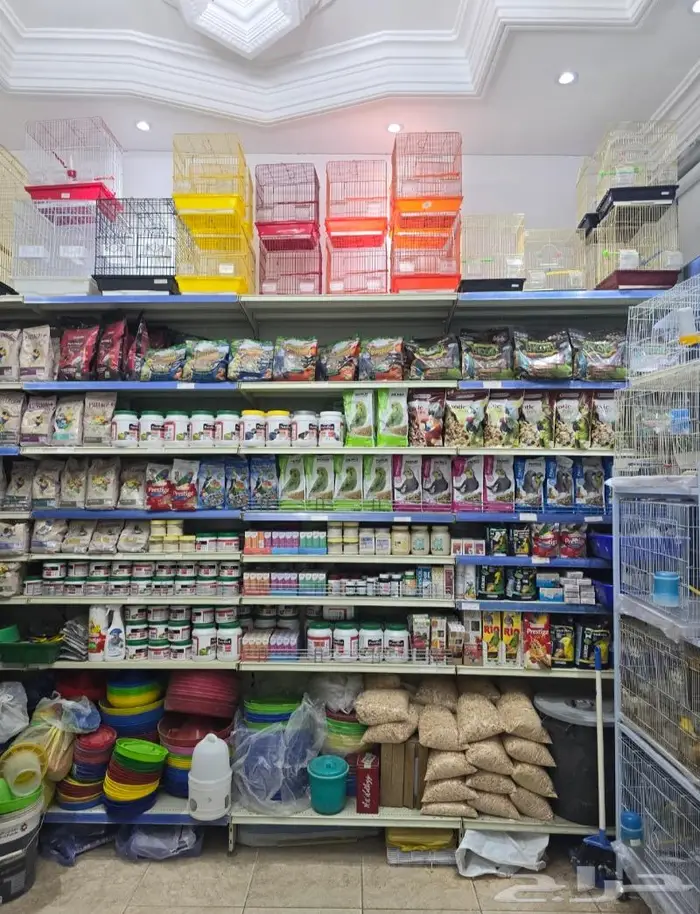 طيور كروان روز فشر كناري زيبرا بادجي دره 65