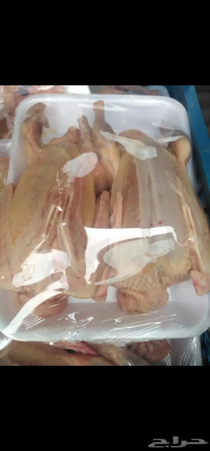 فراخه حمام فرنسي للاكل 0