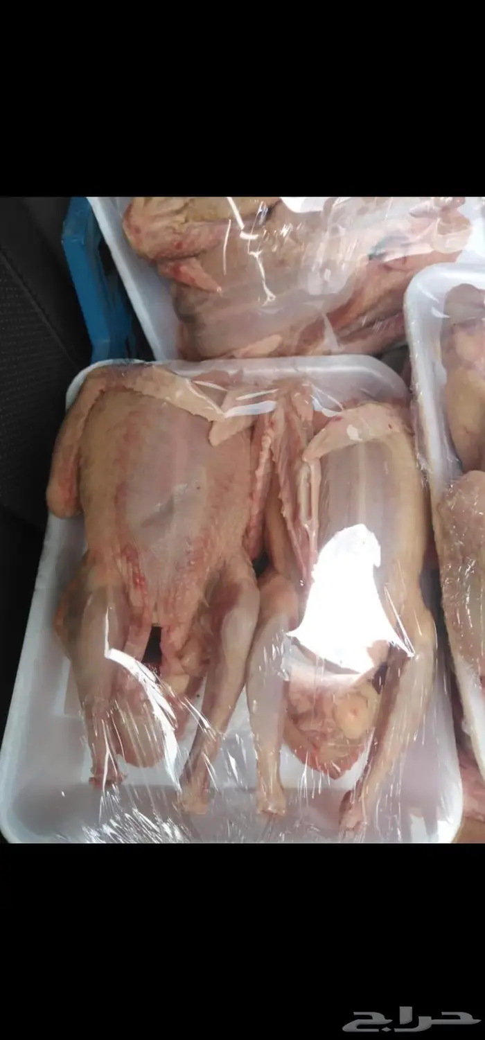 فراخه حمام فرنسي للاكل 2