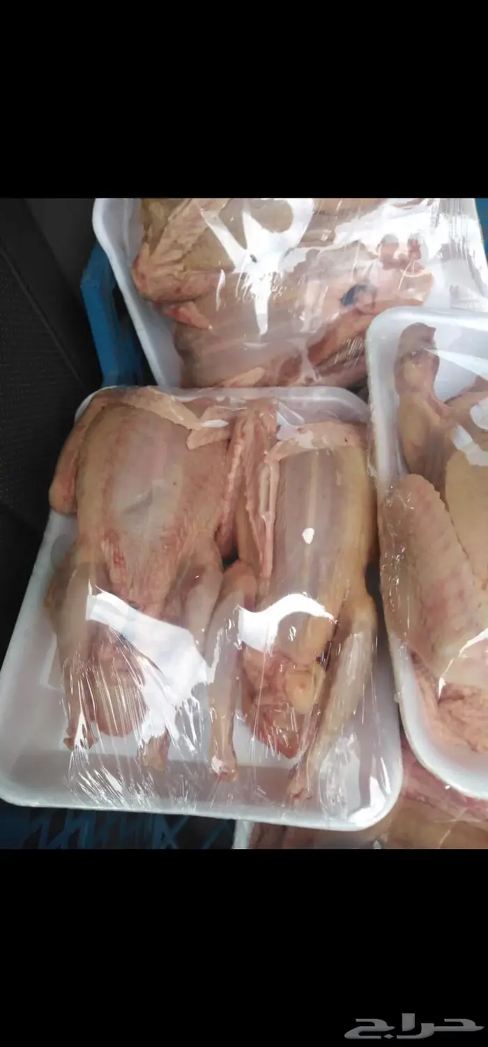 فراخه حمام فرنسي للاكل 3