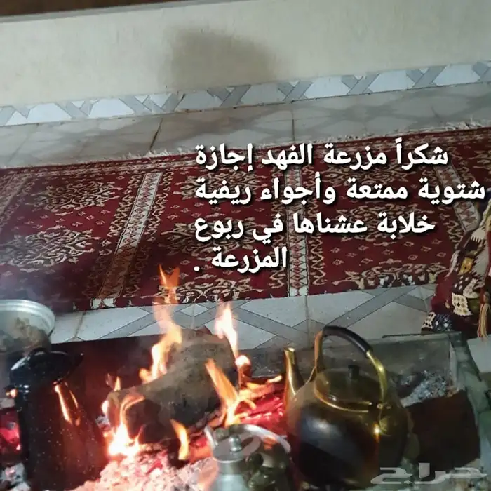 للإيجار اليومي مزرعة مميزة 9