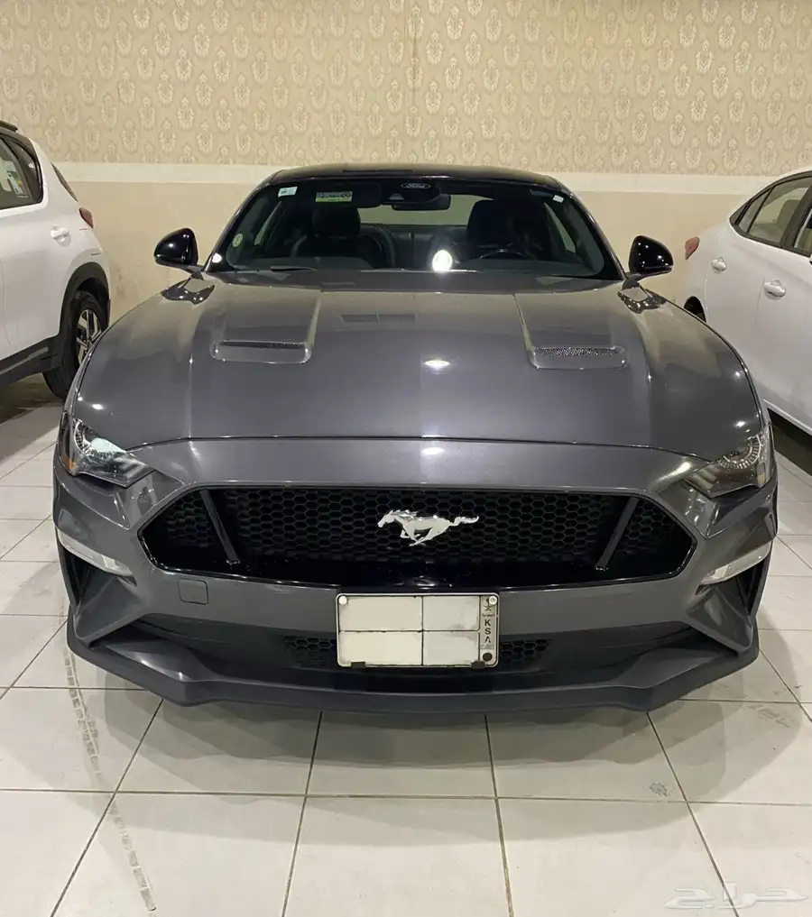 موستنج GT للايجار 0