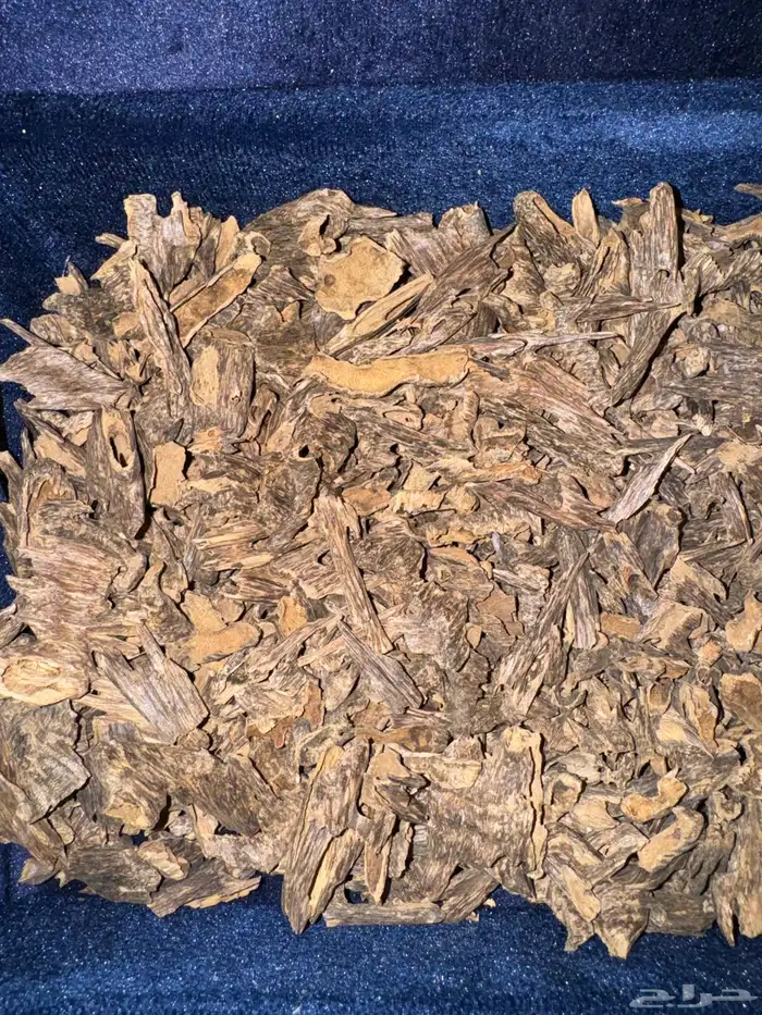 عود بخور الهندي الموري دبل سوبر منظف 9