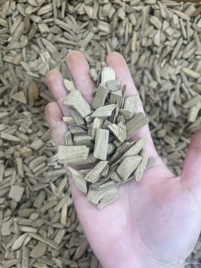 دقه مروكي آصقون طبيعي 2