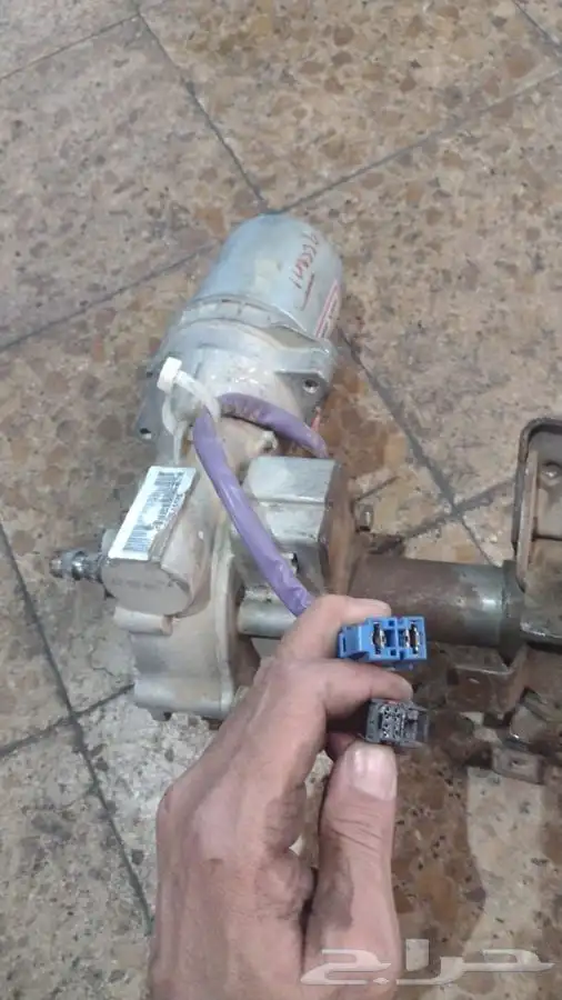 للبيع دودة كهرباء 1