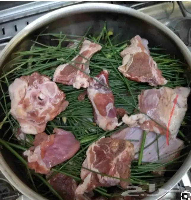 مرخ وسلع للبيع 0