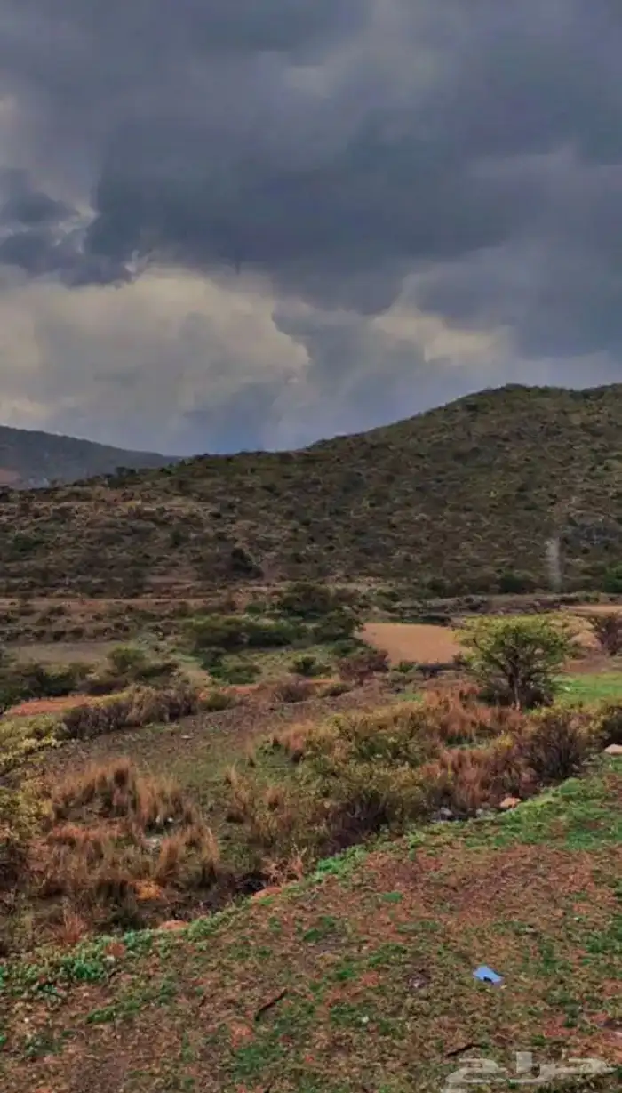 السودة باحة ربيعة اطلالة خاصة على جبال السودة 5