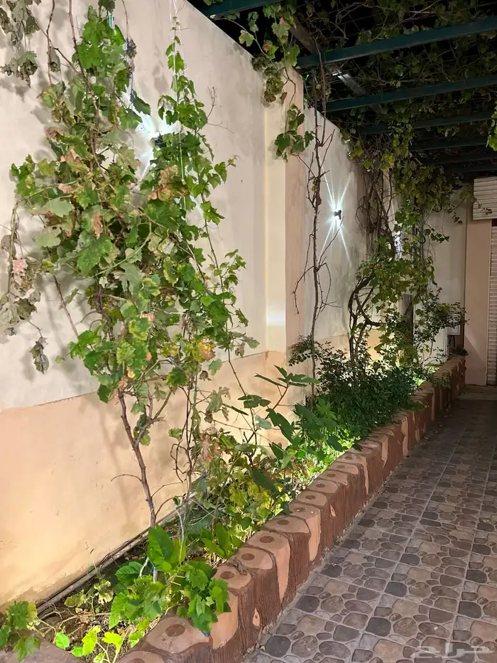 شاليه الاستثمار في بلجرشي شهري او سنوي 16