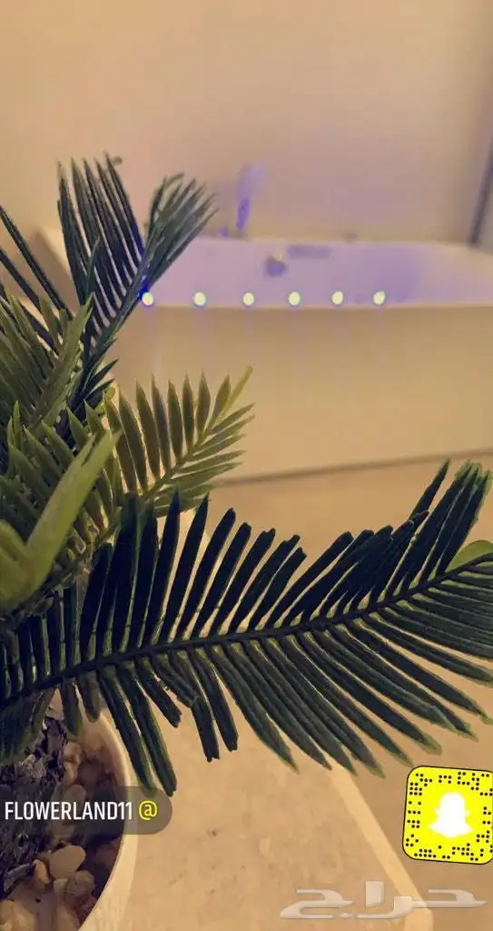 شاليه دي فور 26