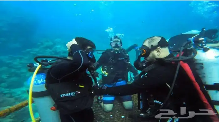 دوره غوص عرض خاص 2