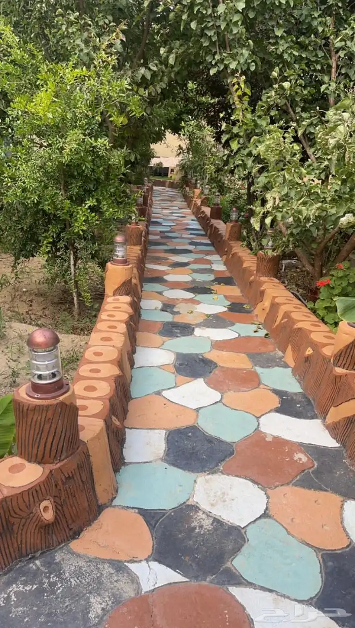 شاليه الاستثمار في بلجرشي شهري او سنوي 21