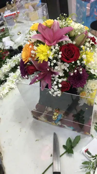 مندوب هدايا الشرقية وقطع 37