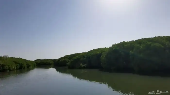 السياحه في جزيرة فرسان ومنطقة جازان 7