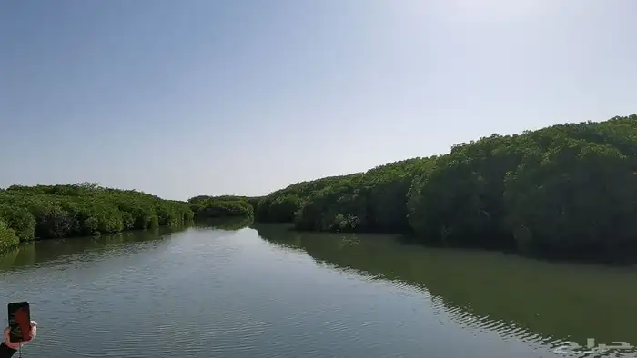 السياحه في جزيرة فرسان ومنطقة جازان 6