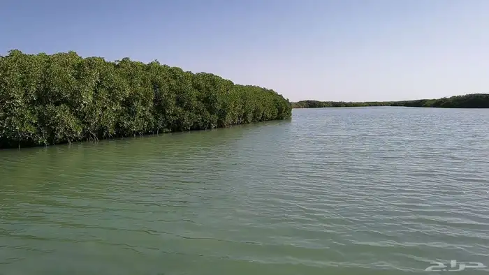 السياحه في جزيرة فرسان ومنطقة جازان 5