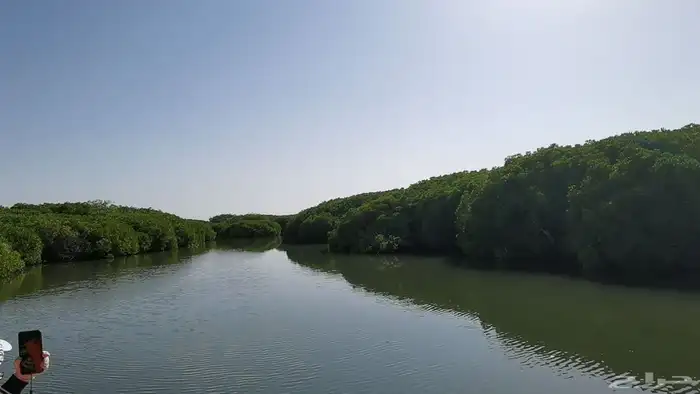 السياحه في جزيرة فرسان ومنطقة جازان 3