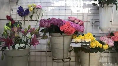 مندوب هدايا الشرقية وقطع 41