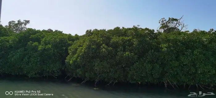 السياحه في جزيرة فرسان ومنطقة جازان 4