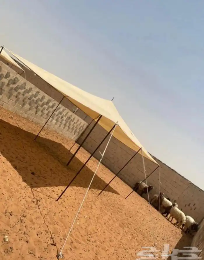 للبيع مظلات حلال ومظلات سياره وخيام وبيوت شعر ودواليب عزبه 45