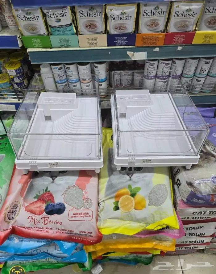 زبريم وباتيه طيور زينة نوادر خميس مشيط 85