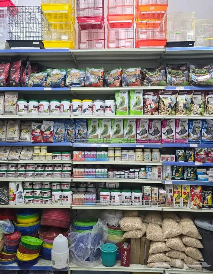 زبريم وباتيه طيور زينة نوادر خميس مشيط 75