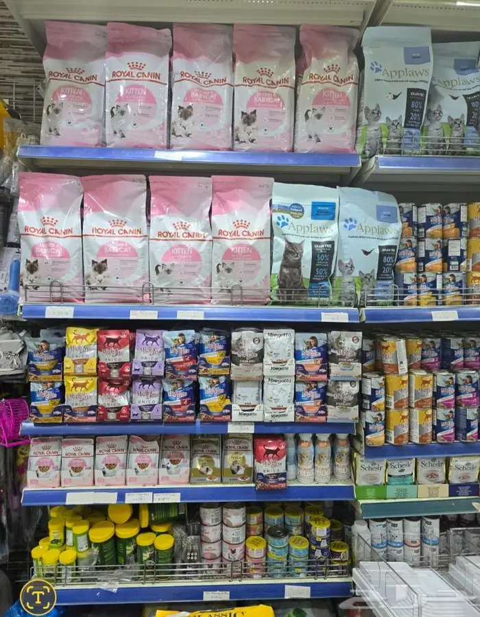 زبريم وباتيه طيور زينة نوادر خميس مشيط 87