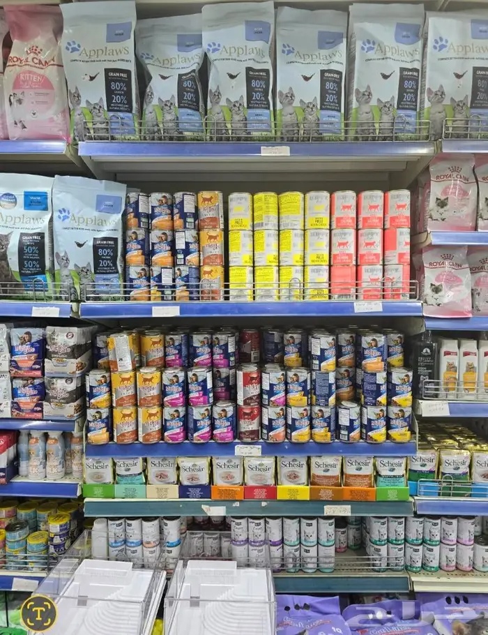 زبريم وباتيه طيور زينة نوادر خميس مشيط 86