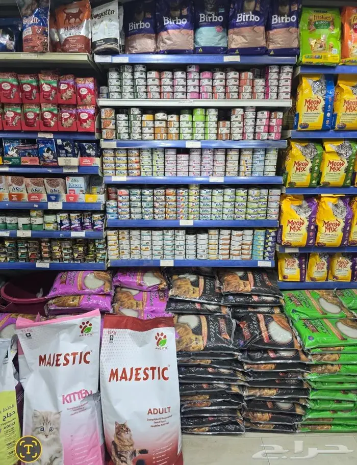 زبريم وباتيه طيور زينة نوادر خميس مشيط 73