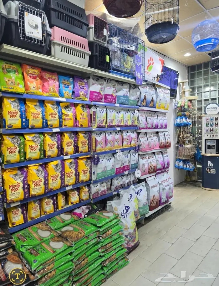 زبريم وباتيه طيور زينة نوادر خميس مشيط 72