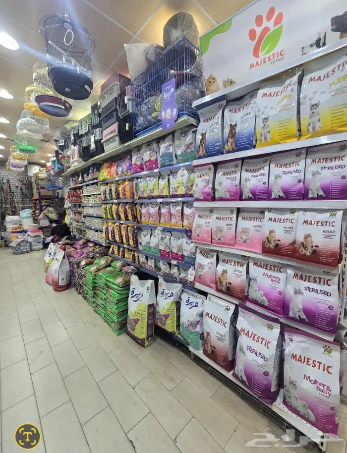 زبريم وباتيه طيور زينة نوادر خميس مشيط 76