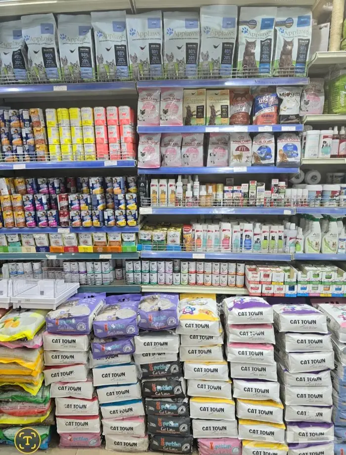 زبريم وباتيه طيور زينة نوادر خميس مشيط 84