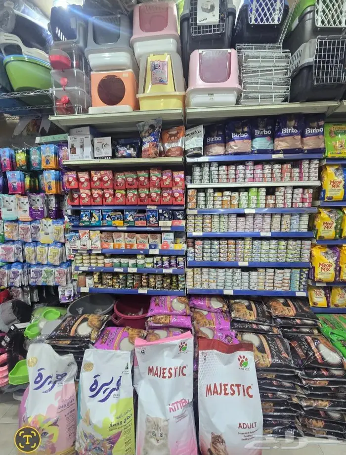 زبريم وباتيه طيور زينة نوادر خميس مشيط 82