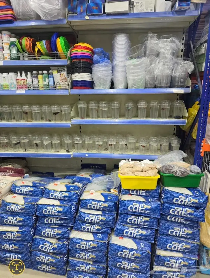 زبريم وباتيه طيور زينة نوادر خميس مشيط 70