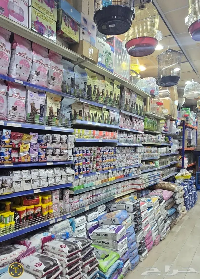 طعام كلاب وجميع مستلزماتها نوادر 61