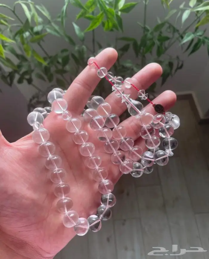 سبحه كاسات 1