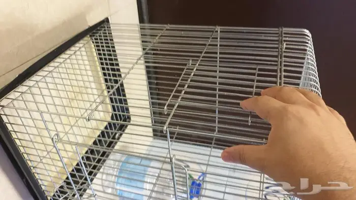 قفص قط قفص كينور وكاسيكو قفص ذهبي كبير معلق 3