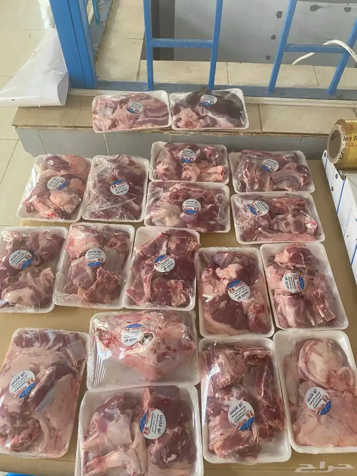 ذبايح للبيع بدومة الجندل 6